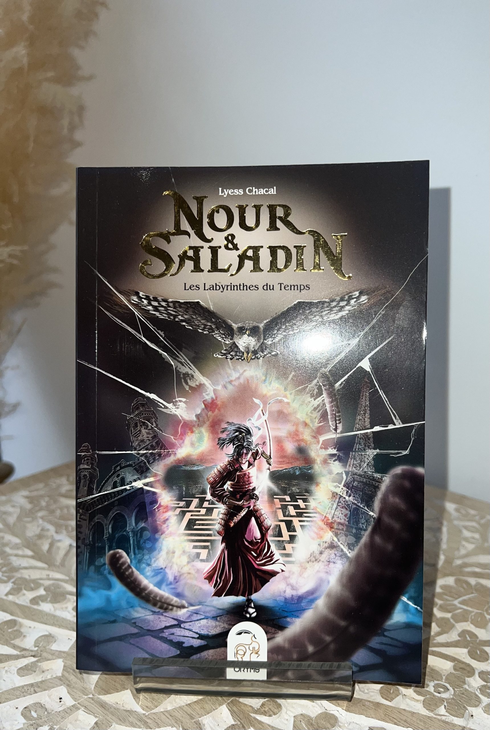 Nour et Saladin les labyrinthes du temps