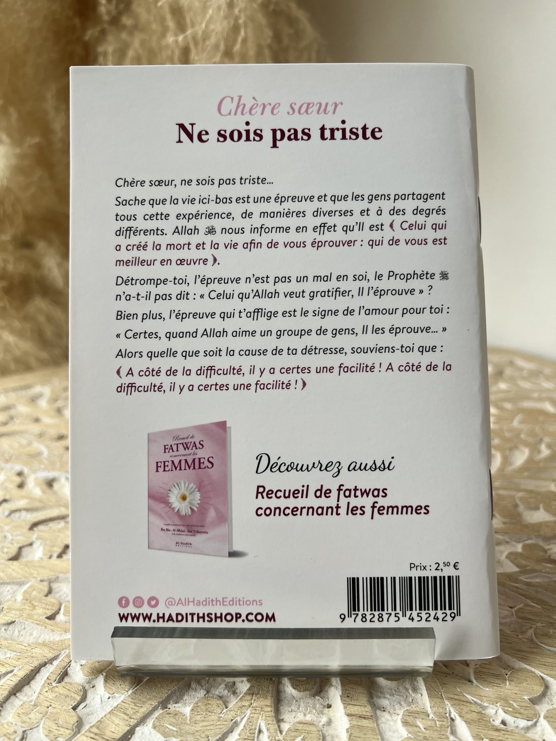 Chère soeur ne sois pas triste – Image 2