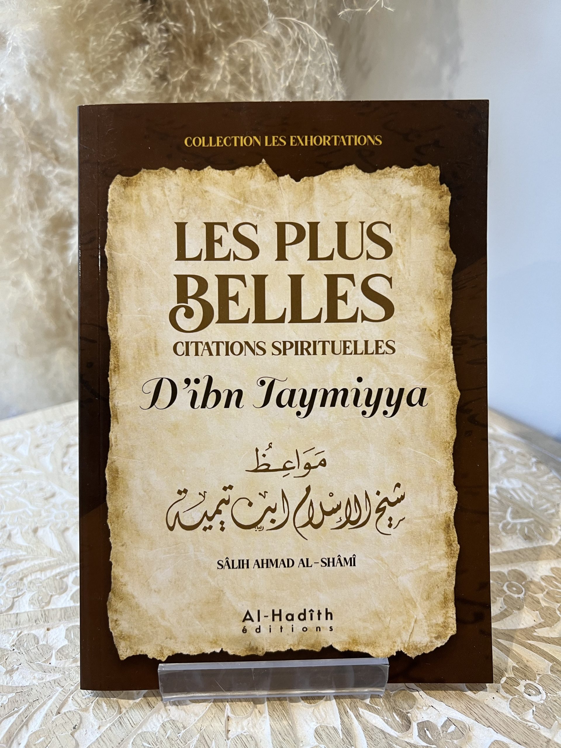 Les Plus Belles Citations spirituelles D’Ibn Taymiyya
