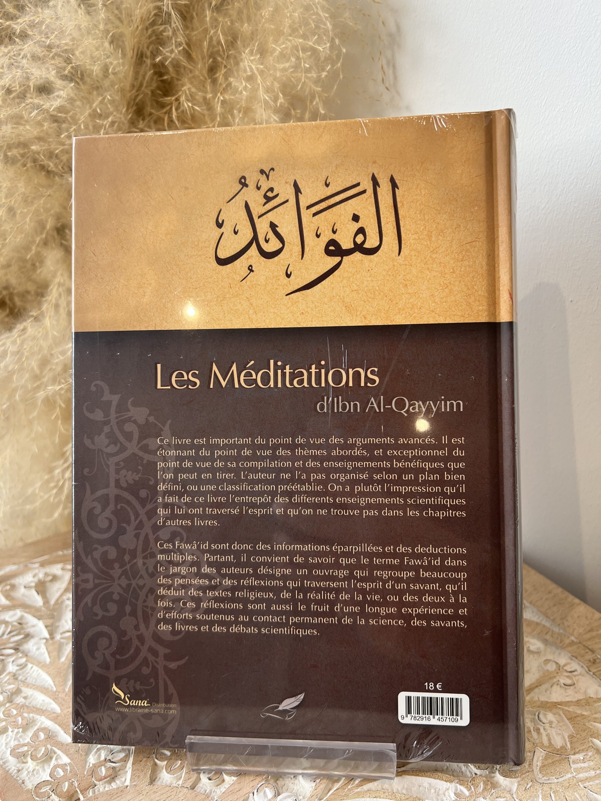 Les Méditations d’Ibn Al-Qayyim – Image 2