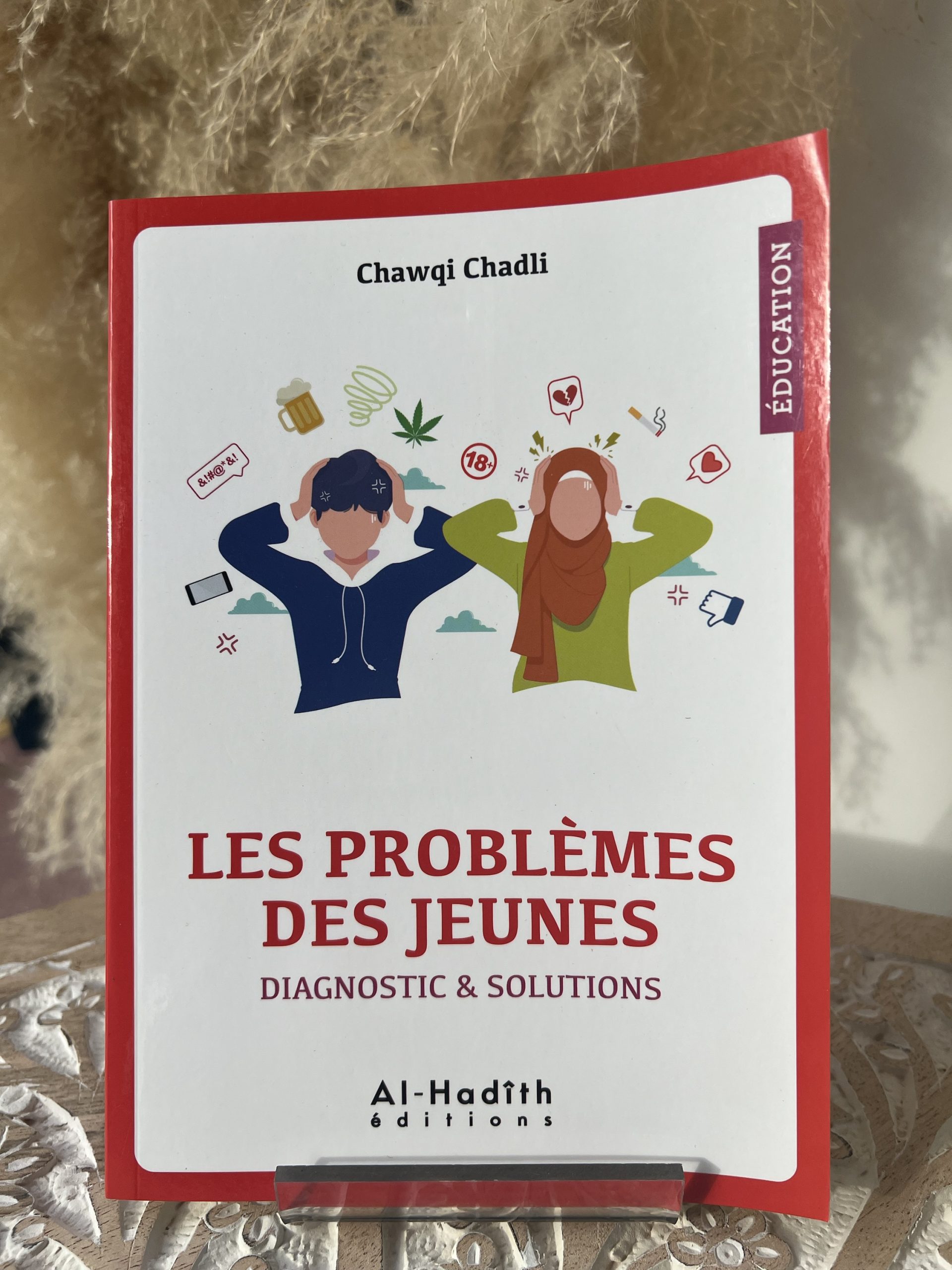 Les problèmes des jeunes diagnostic et solutions
