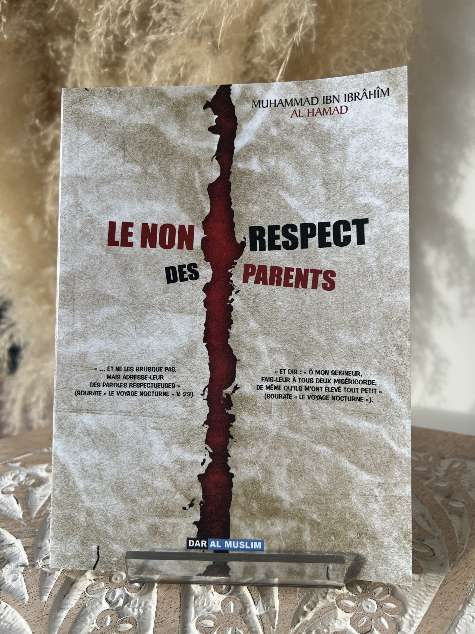 Le Non Respect des parents