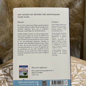 Alternative view of Les causes du retard des musulmans