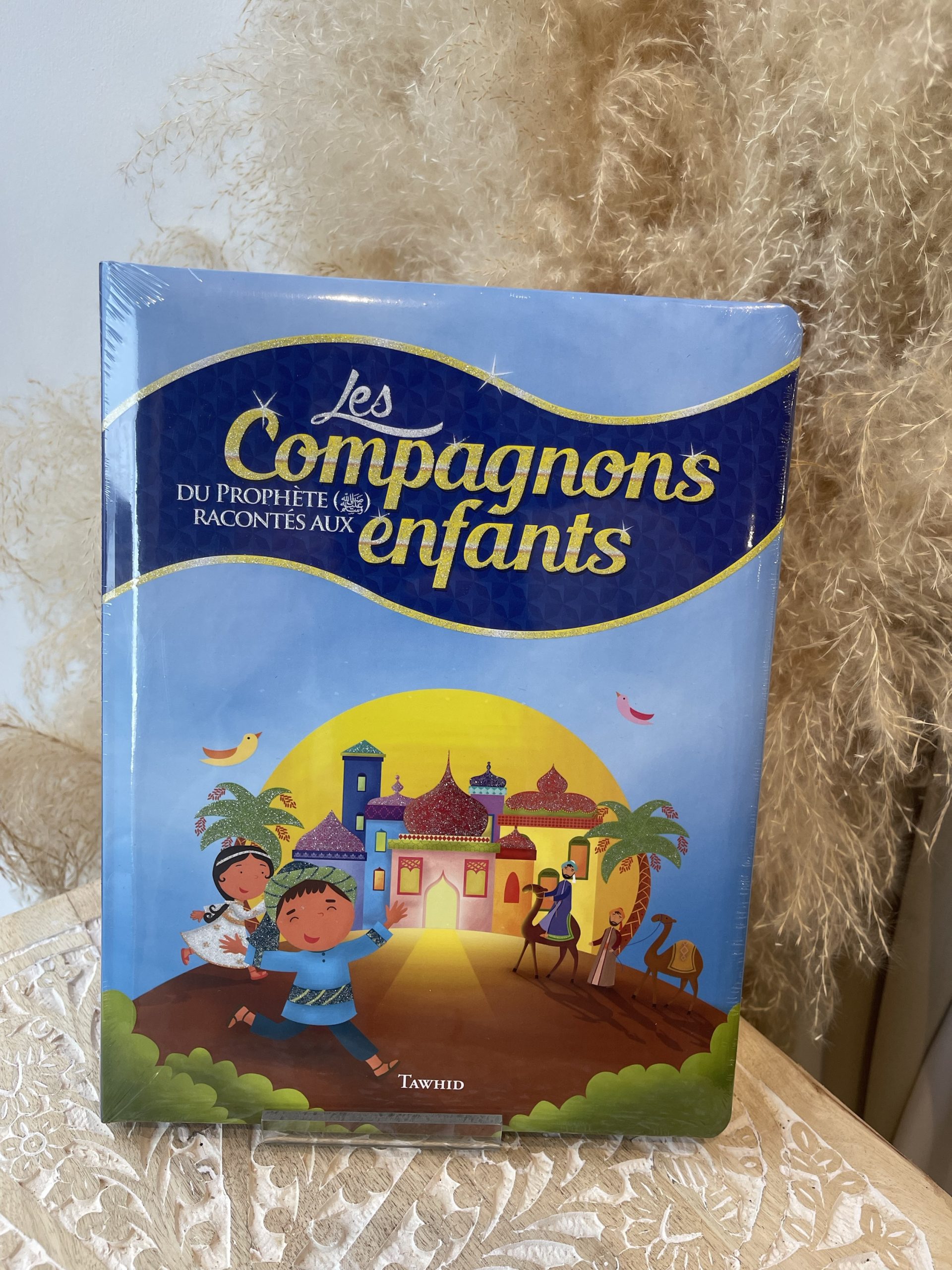 Les compagnons racontés aux enfants