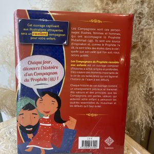 Alternative view of Les compagnons racontés aux enfants