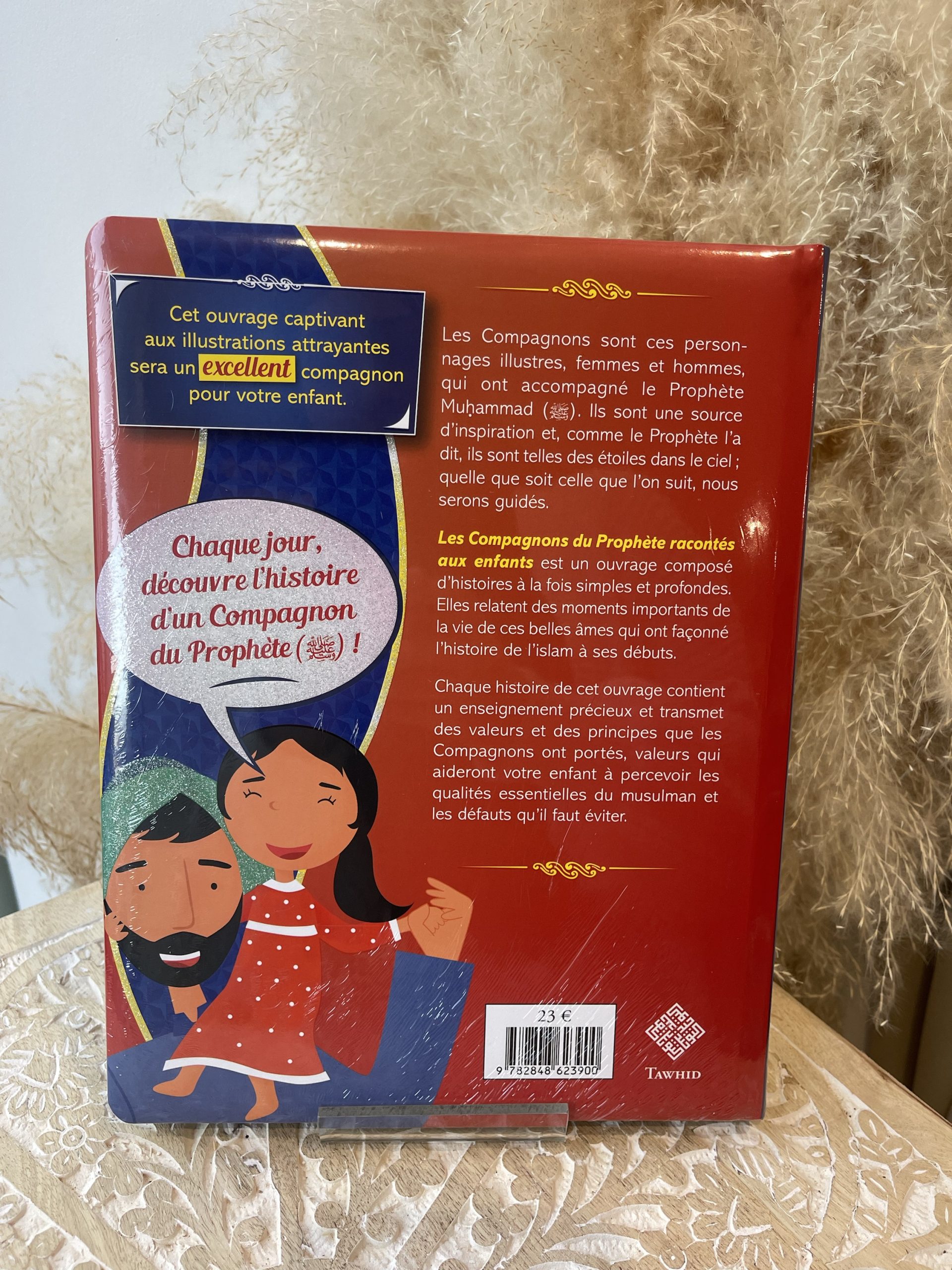 Les compagnons racontés aux enfants – Image 2