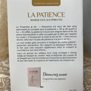 Alternative view of La Patience remède face aux épreuves